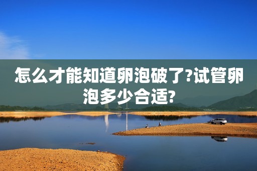 怎么才能知道卵泡破了?试管卵泡多少合适?