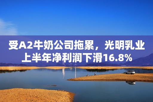 受A2牛奶公司拖累，光明乳业上半年净利润下滑16.8%