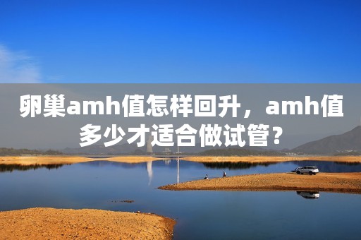 卵巢amh值怎样回升，amh值多少才适合做试管？