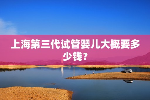 上海第三代试管婴儿大概要多少钱？