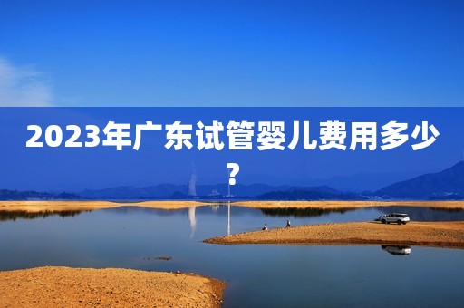 2023年广东试管婴儿费用多少?