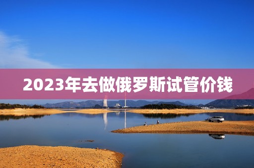 2023年去做俄罗斯试管价钱