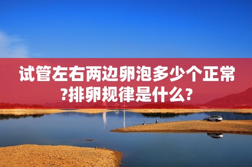 试管左右两边卵泡多少个正常?排卵规律是什么?