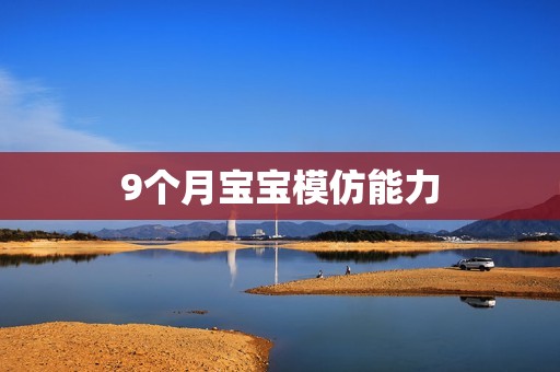 9个月宝宝模仿能力