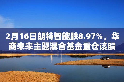 2月16日朗特智能跌8.97%，华商未来主题混合基金重仓该股