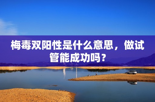 梅毒双阳性是什么意思，做试管能成功吗？