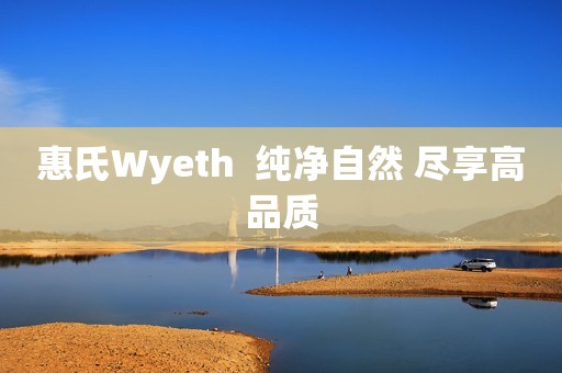 惠氏Wyeth  纯净自然 尽享高品质