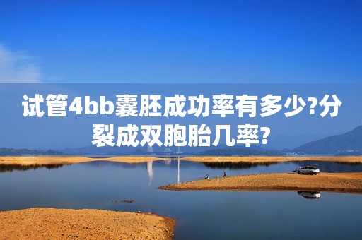 试管4bb囊胚成功率有多少?分裂成双胞胎几率?