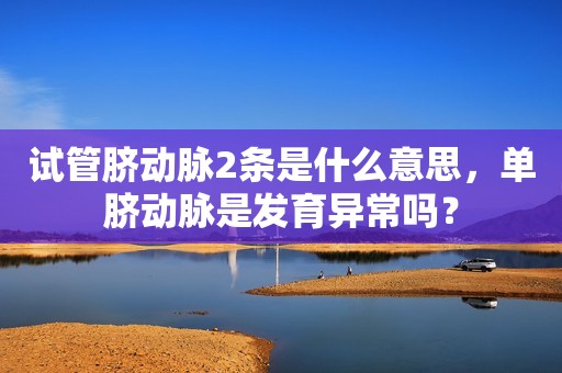 试管脐动脉2条是什么意思，单脐动脉是发育异常吗？