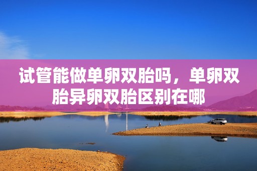 试管能做单卵双胎吗，单卵双胎异卵双胎区别在哪