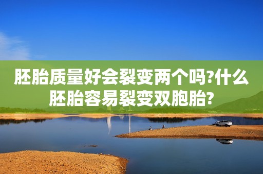 胚胎质量好会裂变两个吗?什么胚胎容易裂变双胞胎?