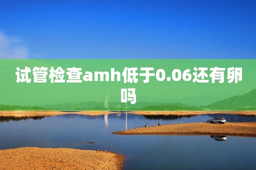 试管检查amh低于0.06还有卵吗