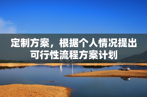 定制方案，根据个人情况提出可行性流程方案计划