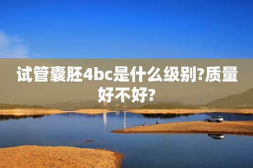 试管囊胚4bc是什么级别?质量好不好?