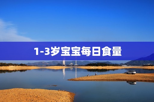 1-3岁宝宝每日食量