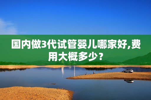 国内做3代试管婴儿哪家好,费用大概多少？