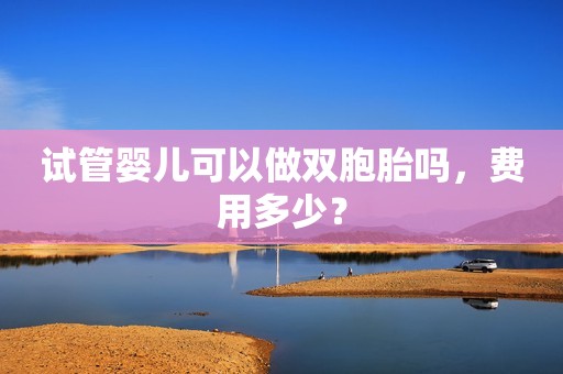 试管婴儿可以做双胞胎吗，费用多少？