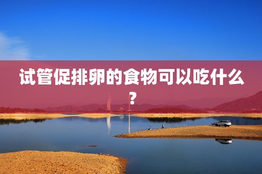 试管促排卵的食物可以吃什么？