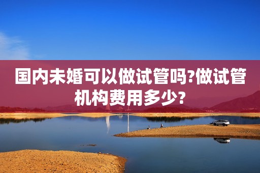 国内未婚可以做试管吗?做试管机构费用多少?