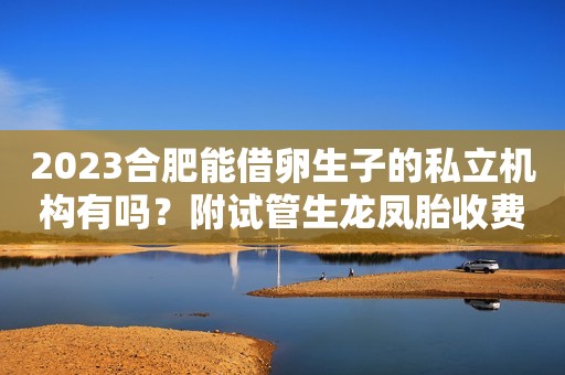 2023合肥能借卵生子的私立机构有吗？附试管生龙凤胎收费清单