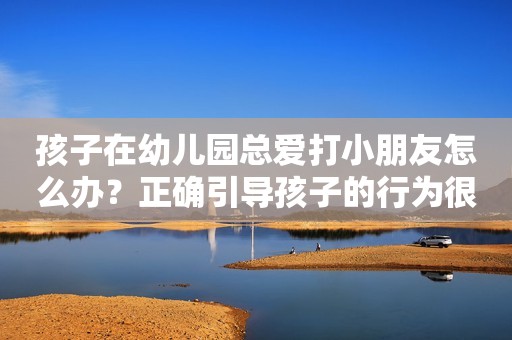 孩子在幼儿园总爱打小朋友怎么办？正确引导孩子的行为很重要