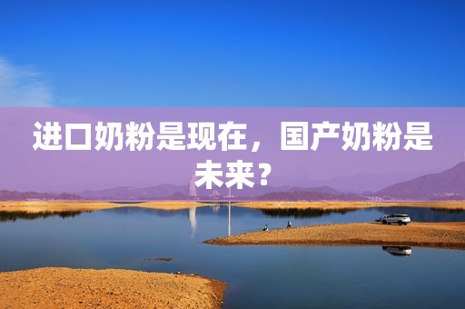 进口奶粉是现在，国产奶粉是未来？