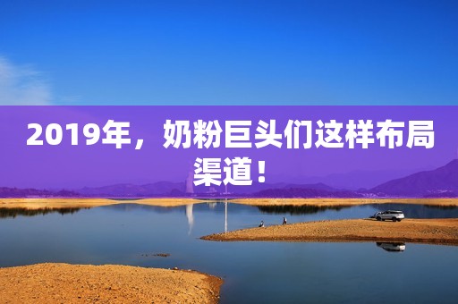 2019年，奶粉巨头们这样布局渠道！