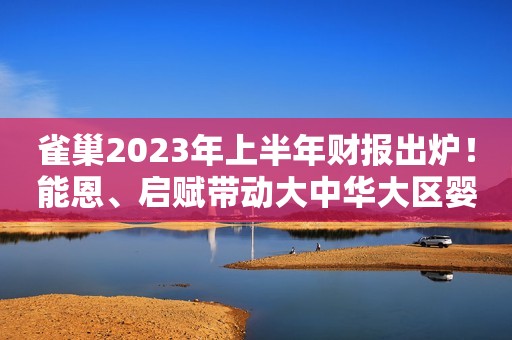 雀巢2023年上半年财报出炉！能恩、启赋带动大中华大区婴儿营养业务实现中个位数增长