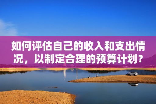 如何评估自己的收入和支出情况，以制定合理的预算计划？