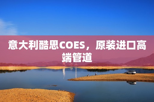 意大利酷思COES，原装进口高端管道