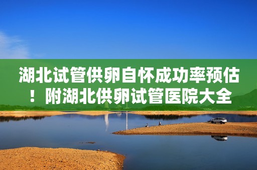 湖北试管供卵自怀成功率预估！附湖北供卵试管医院大全