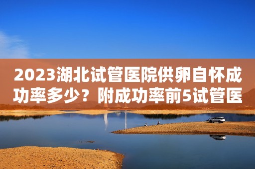 2023湖北试管医院供卵自怀成功率多少？附成功率前5试管医院重推