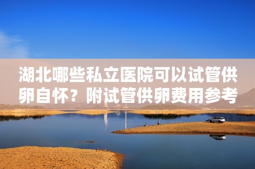 湖北哪些私立医院可以试管供卵自怀？附试管供卵费用参考