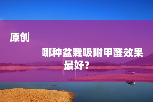 原创
            哪种盆栽吸附甲醛效果最好？