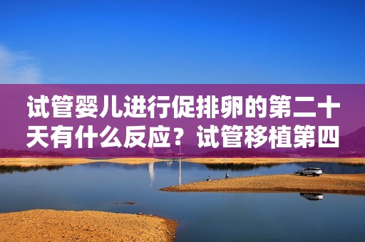 试管婴儿进行促排卵的第二十天有什么反应？试管移植第四天有什么反应？