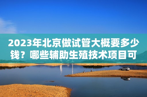 2023年北京做试管大概要多少钱？哪些辅助生殖技术项目可以报销