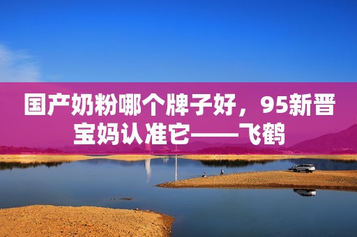 国产奶粉哪个牌子好，95新晋宝妈认准它——飞鹤