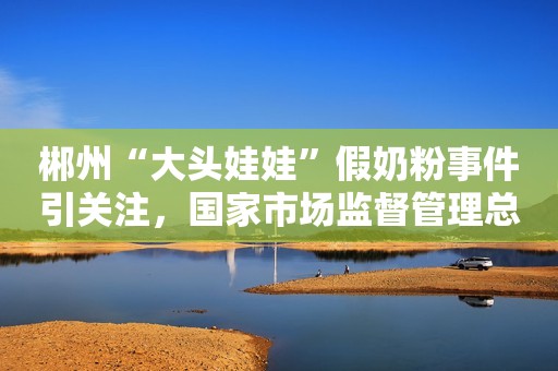 郴州“大头娃娃”假奶粉事件引关注，国家市场监督管理总局、湖南省政府先后回应：彻查