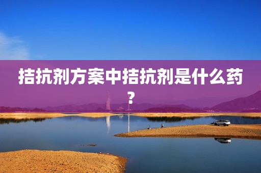 拮抗剂方案中拮抗剂是什么药?