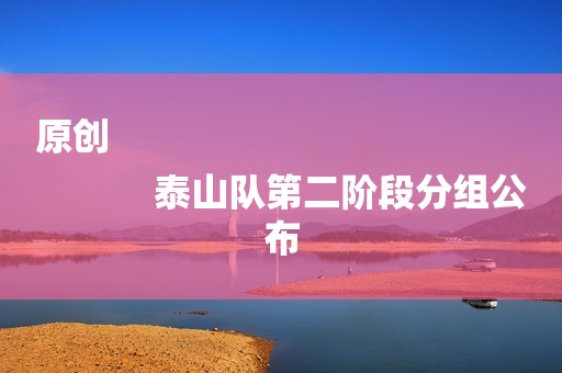 原创
            泰山队第二阶段分组公布