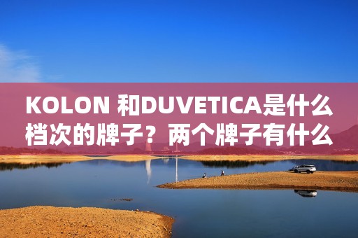 KOLON 和DUVETICA是什么档次的牌子？两个牌子有什么不同？