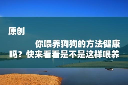 原创
            你喂养狗狗的方法健康吗？快来看看是不是这样喂养的！