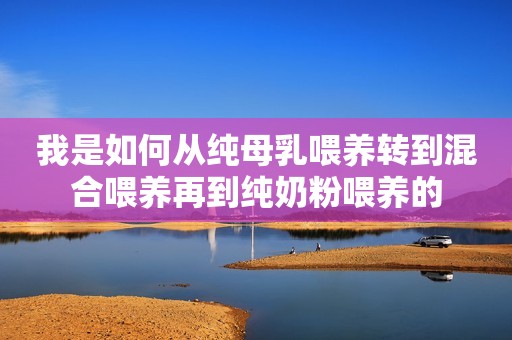 我是如何从纯母乳喂养转到混合喂养再到纯奶粉喂养的