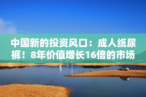 中国新的投资风口：成人纸尿裤！8年价值增长16倍的市场