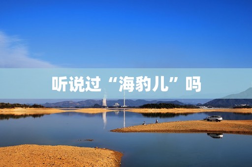 听说过“海豹儿”吗