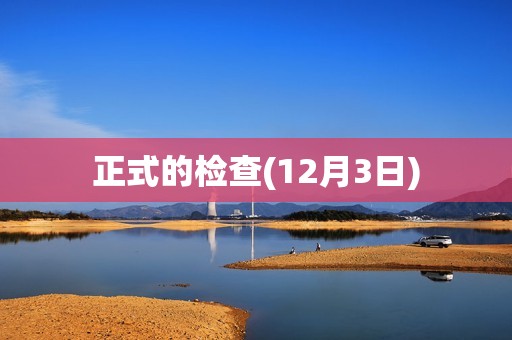 正式的检查(12月3日)