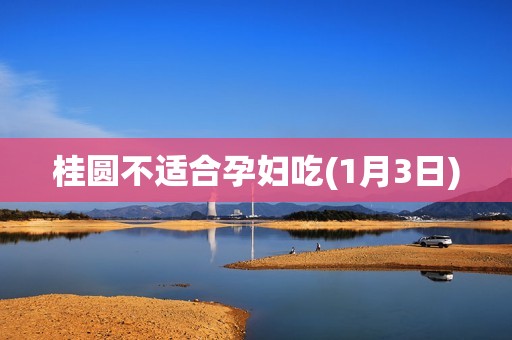 桂圆不适合孕妇吃(1月3日)