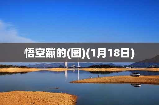 悟空蹦的(图)(1月18日)