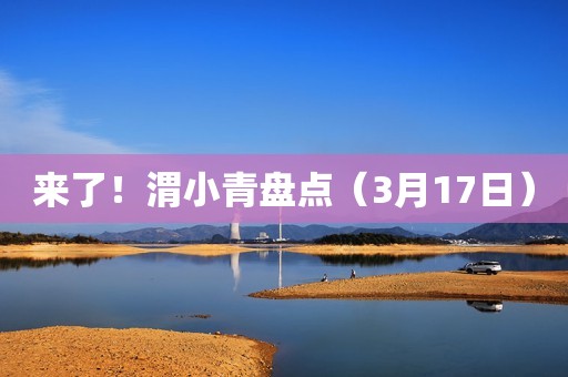 来了！渭小青盘点（3月17日）