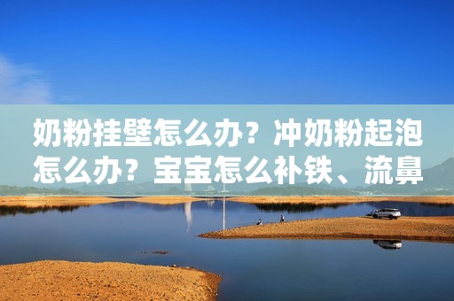 奶粉挂壁怎么办？冲奶粉起泡怎么办？宝宝怎么补铁、流鼻血怎么办